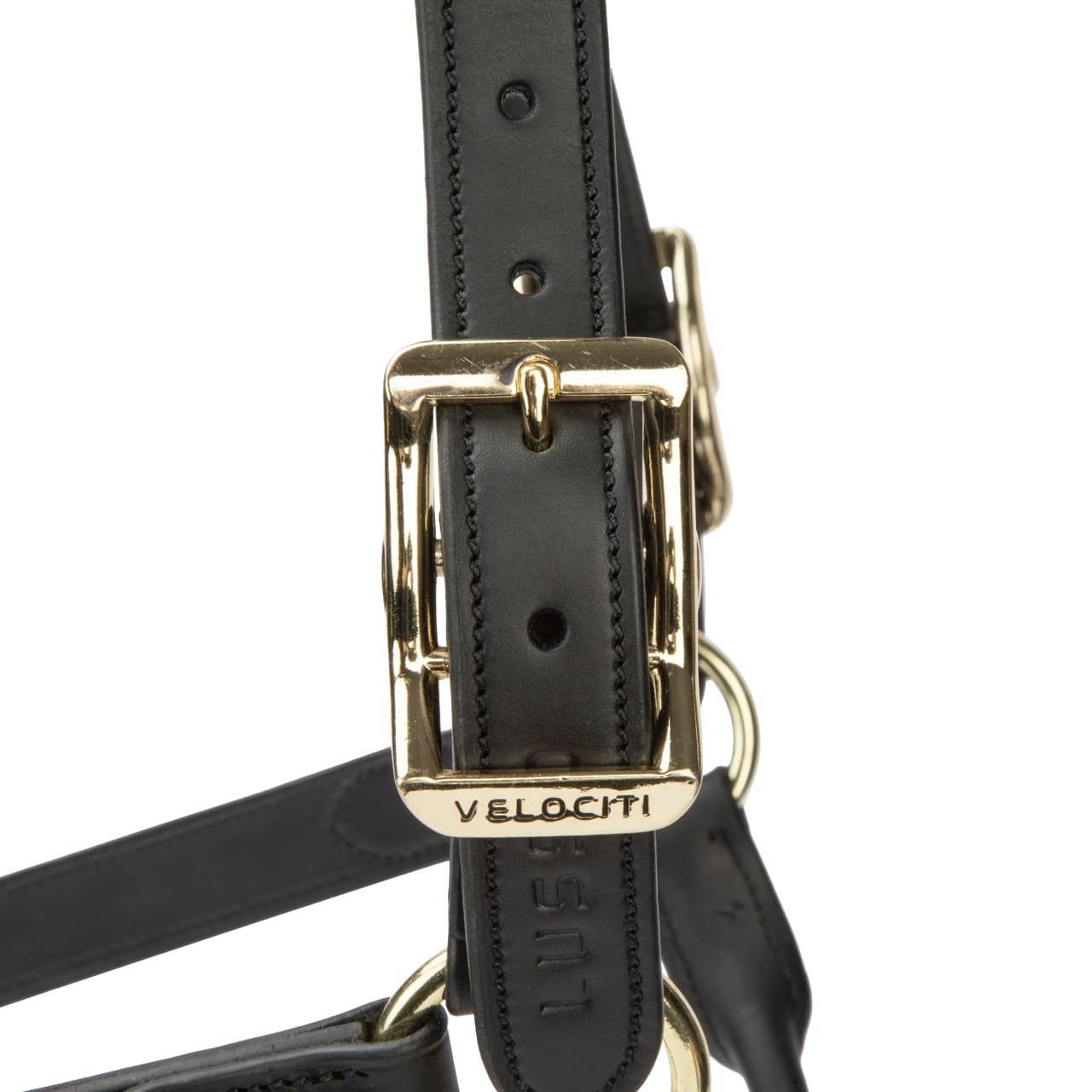 View 7