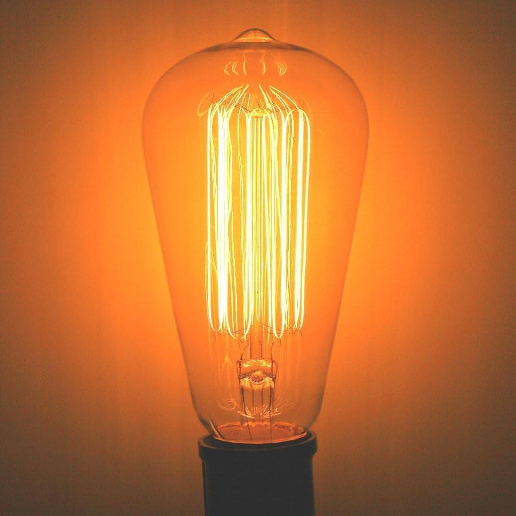 60 Watt Nostalgia Era Squirrel Cage Filament Bulb