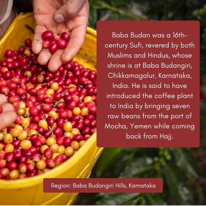Image of Toffee Coffee Roasters Baba Budangiri Coffee 100 Gram | As Seen On Shark Tank | Arabica Freshly Medium Dark Roast Grounded Coffe Grind: Whole Beans | Notes: Toasted Nuts, Earthy and Dark Chocolate