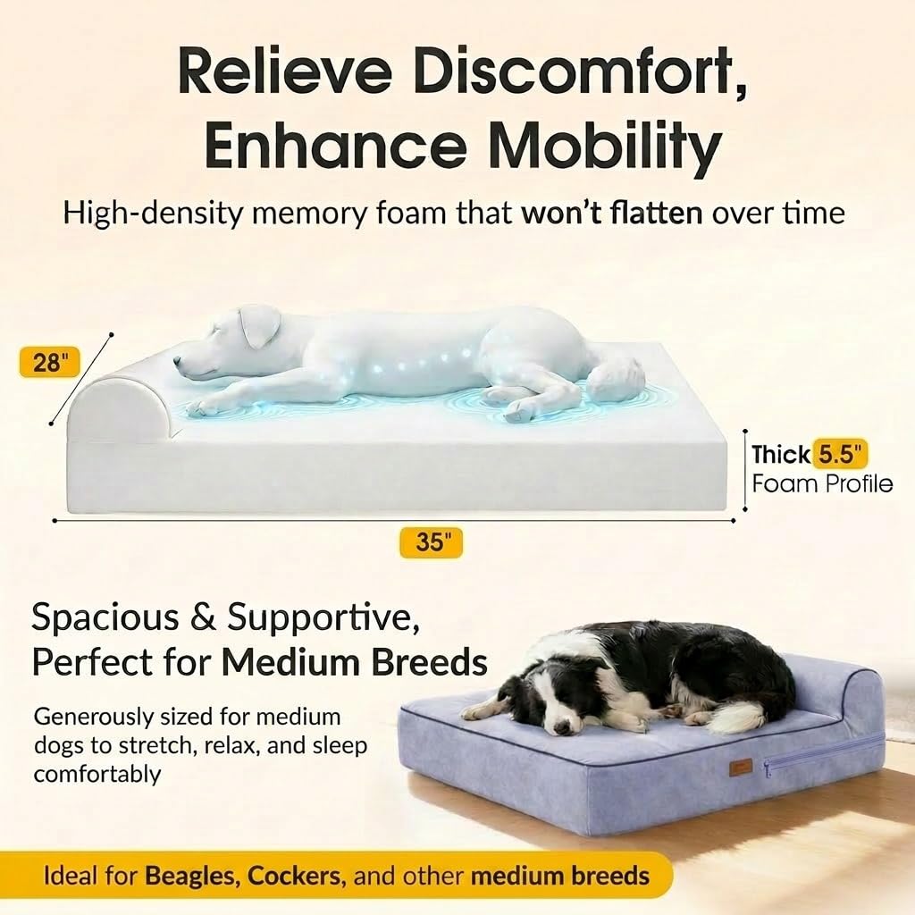 KOPEKS Cama Grande para Perros Mascotas Grandes con Memoria Viscoelástica Ortopédico 91 x 71 x 15 cm más la Almohada - L - Gris