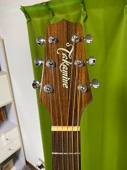 Amazon.co.jp: 長渕剛愛用 Takamine エレアコPT106 純正ハードケース付