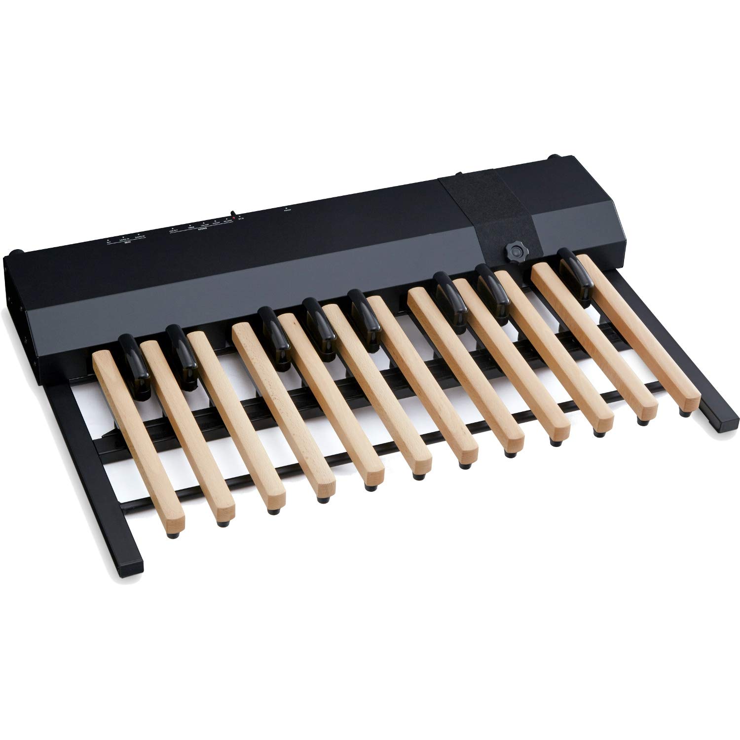 Amazon.com: Hammond XPK-200GL 20-tone MIDI bass pedal, wooden keys 