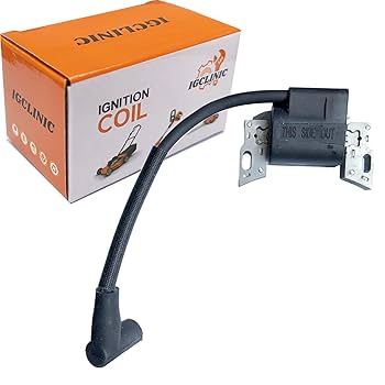 Amazon.com: 798534 799582 593872 593381 Armature-Magneto fit