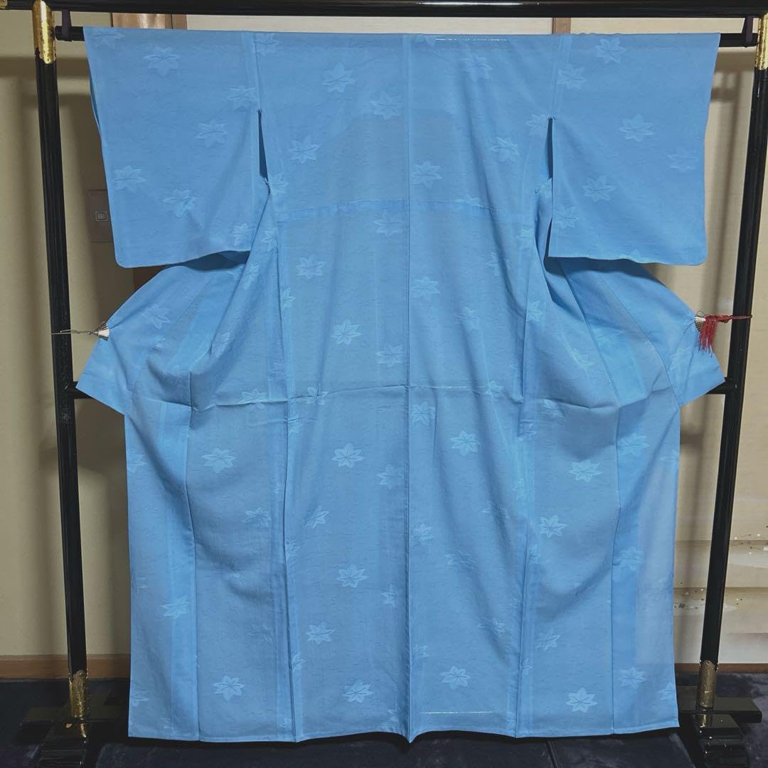 正絹 紋紗 色無地 薄物 空色 着物単品 地紋入り 裄66 着物 色無地