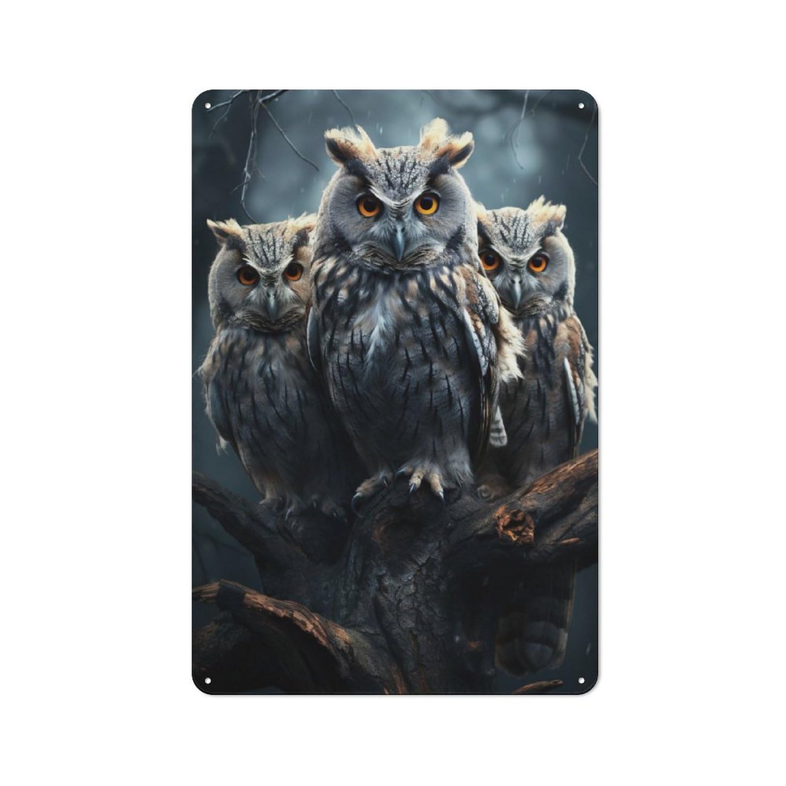 Junmoney Owl Triplets Shop Front Style Cafe Metal Sign 30X20cm, Bistro Wall Plaque For Tea Room, Shop Wall Or Breakfast Area
