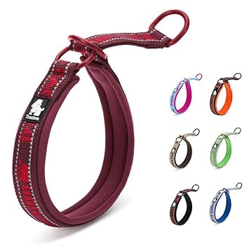 MOKCCI Truelove Neoprene Dog Collar Soft Best Reflective Adjustable Dog P-Chain Collar for Training