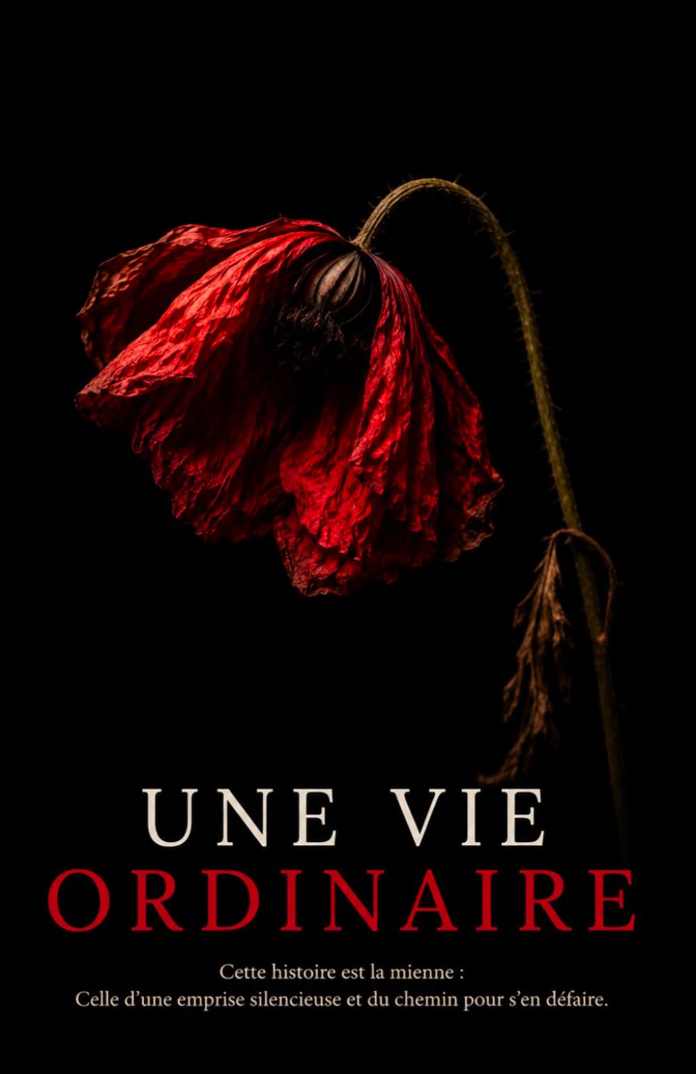 Une vie ordinaire
