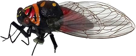 Amazon Co Jp リアル マグネット 蝉 磁石 昆虫 小動物 冷蔵庫 机 オフィス 教育 模型 セミ 赤バージョン おもちゃ