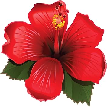 StickerTalk Red Hibiscus Vinyl Sticker, 4.5 inches by 4.5 inches