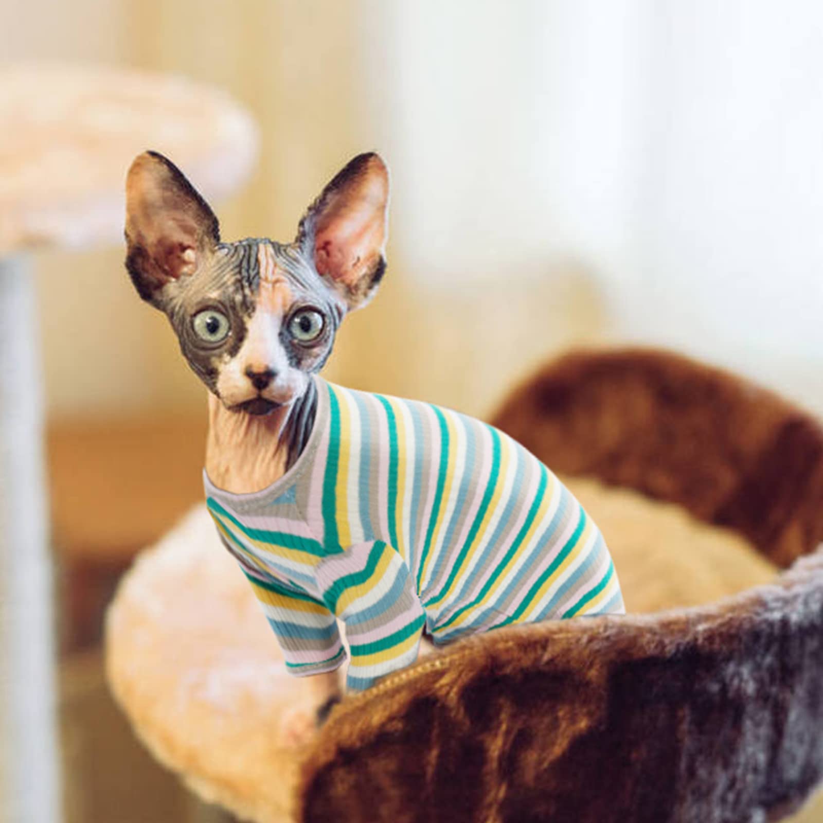 Sphynx Katzenkleidung Weste – Warmer Pullover Für Haarlose Katzen & Kleine Hunde (Kastanie)