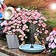 AISITIN Solarbrunnen für Draussen, DIY 2,8W Solarbrunnen Solarwasserbrunnen,Solar Springbrunnen für Außen mit 6 Fontänenstile, Solar Fontäne Pumpe Solar-Schwimmbrunnenpumpe für Garten, Vogel-Bad