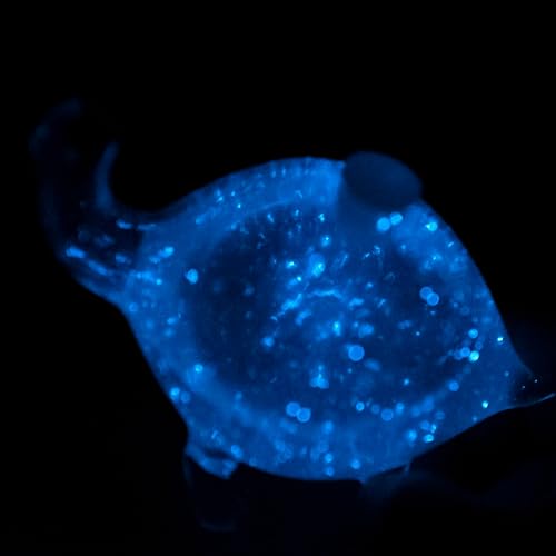 Miniatura 5 de The Living Bio-Turtle Bioluminiscente - Un microacuario de tortuga de vidrio relleno de plancton bioluminiscente brillante