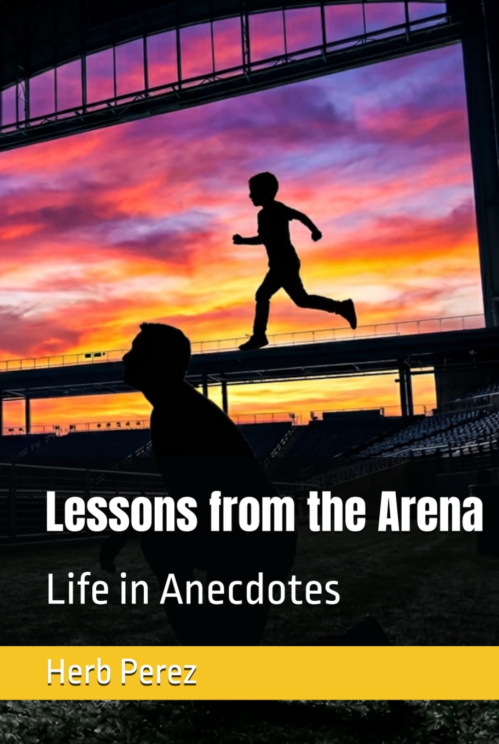 Lessons from the Arena: Life in Anecdotes (My Champion Series)