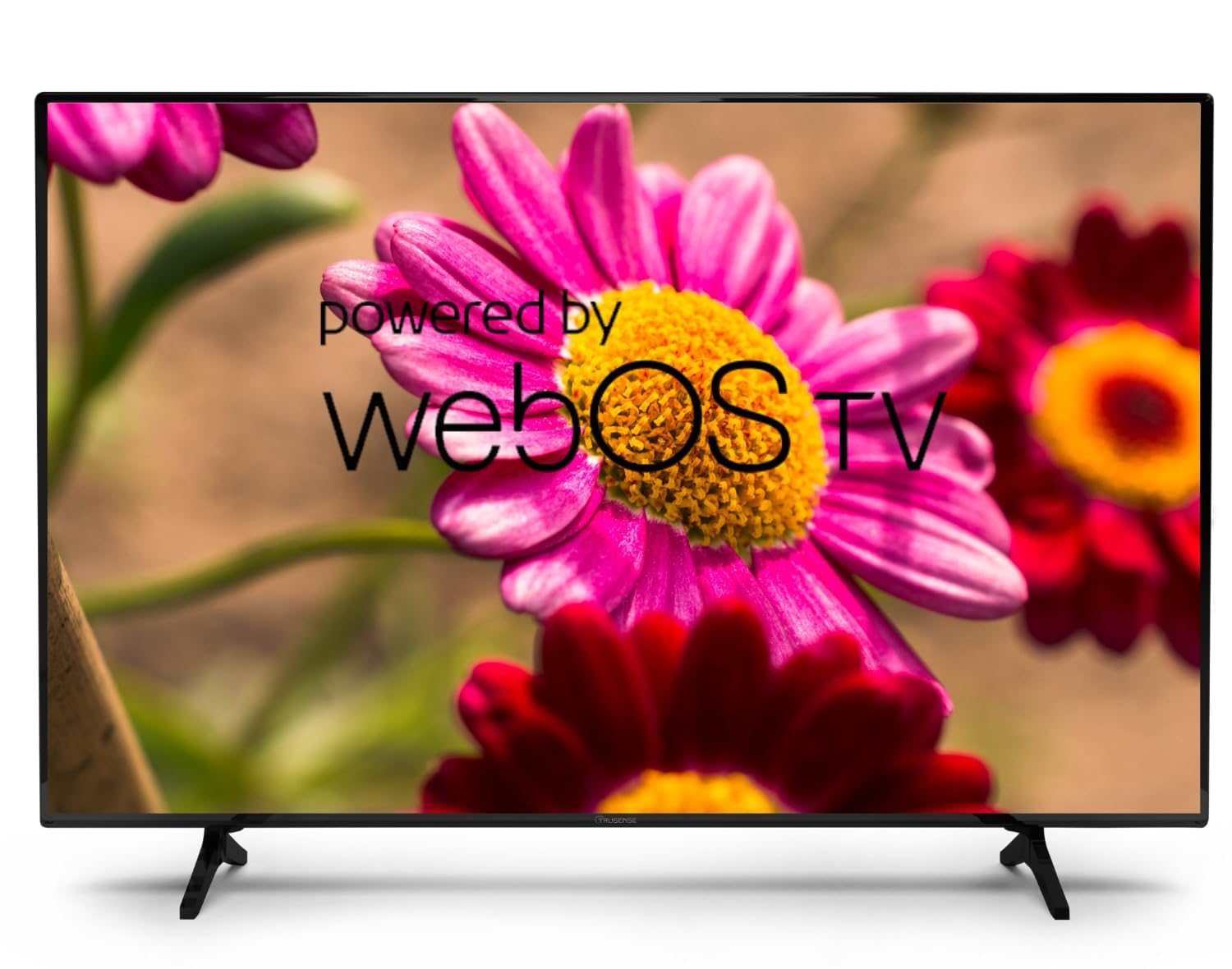 TRUSENSE 109 cm (43 Inch) TS 4341 | Full HD Smart TV with LG Web