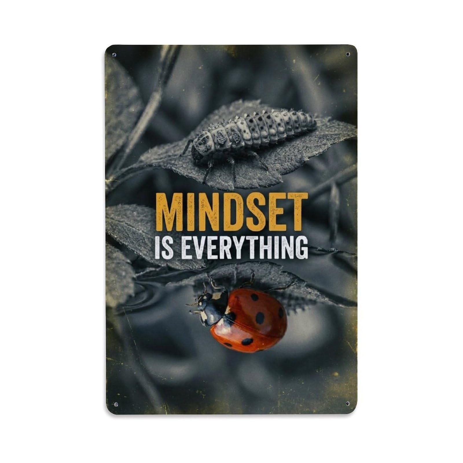 Olhnbad Style Ladybird Insect Mindset Is Everything Motivational Quote Metal Tin Sign