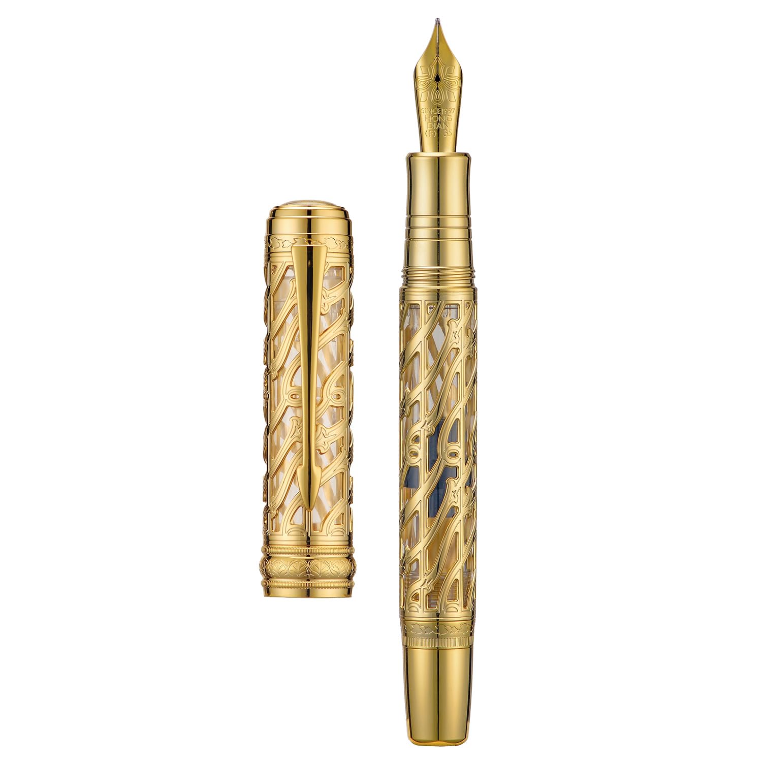 HONG DIAN A6 Piston Fountain Pen Fine Soft Nib, Golden Hollow Skeleton & Transparent Resin Pen with Metal Case Set