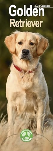 Golden Retriever Slim Calendar 2023 | Dog Breed Slimline Calendar - 12 Month