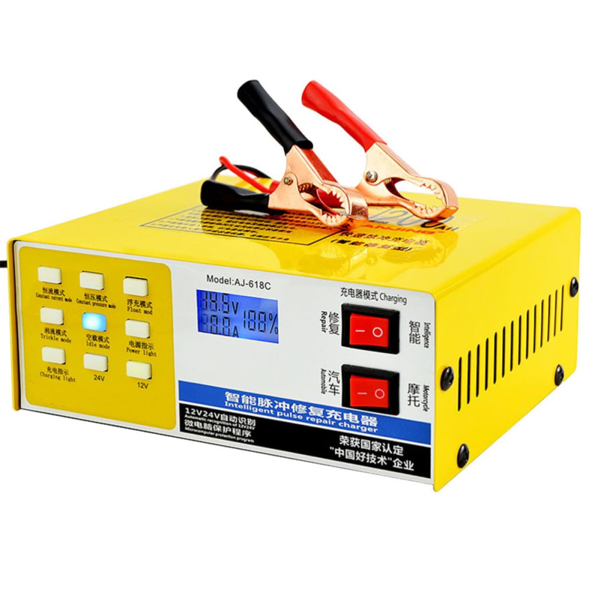 Caricabatterie per Batterie Auto 12v 24v Intelligente Ac220v