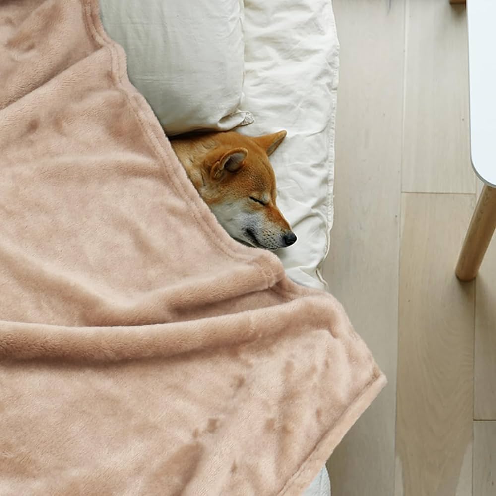 Amazon.com : Onarway Dog Blanket Washable for Puppy: 4 Packs