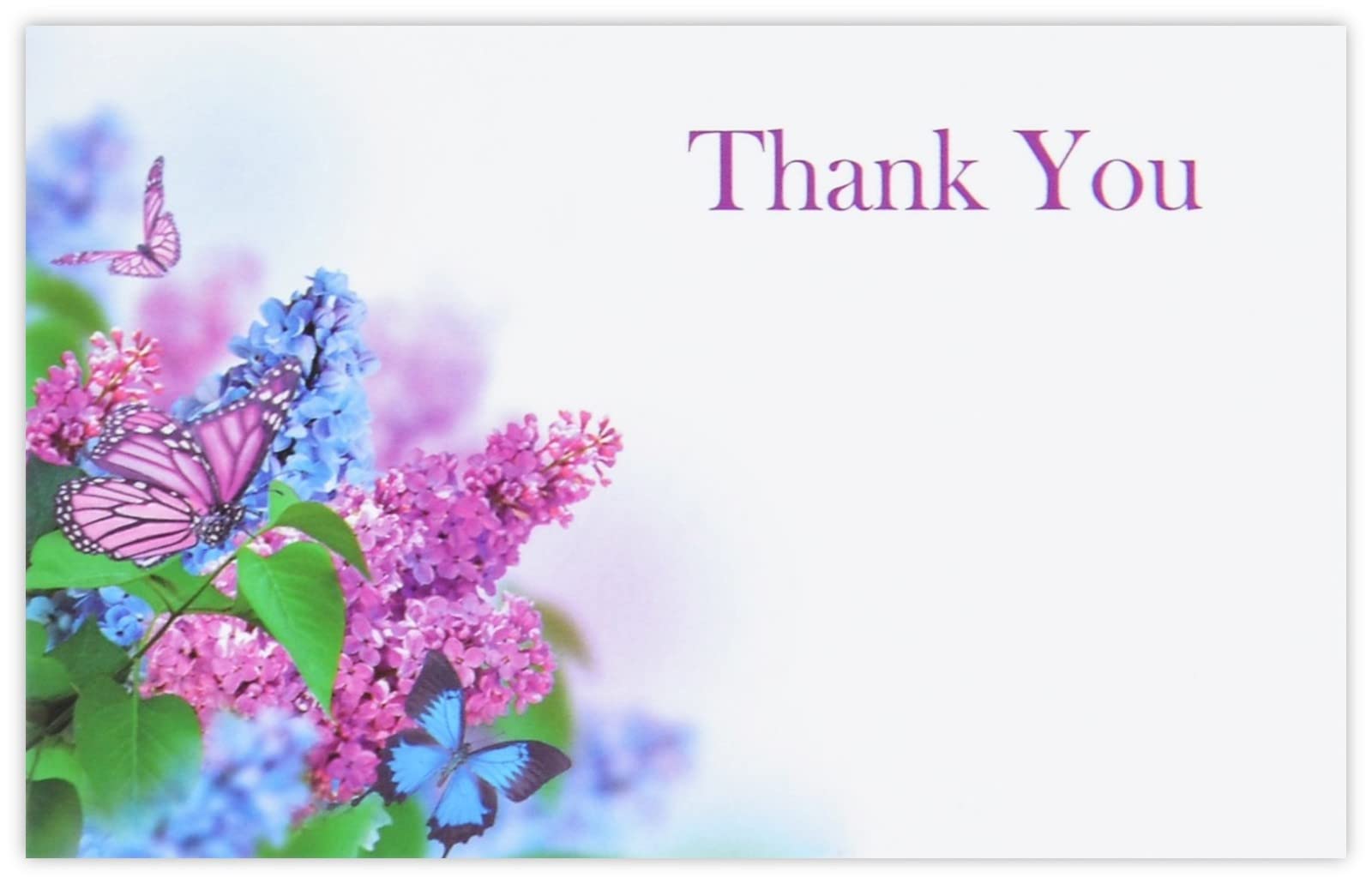 celloexpress Thank You (Lilacs & Butterflies) Flower Message Cards - 60mm x 90mm - Everyday Occasions Florist Card Gift Notes (Pack of 50)