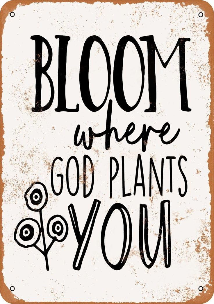 Kwqdozf As Pic 22 8X12 Inch Bloom Where God Plants You Vintage Metal Sign Funny Tin Sign Retr