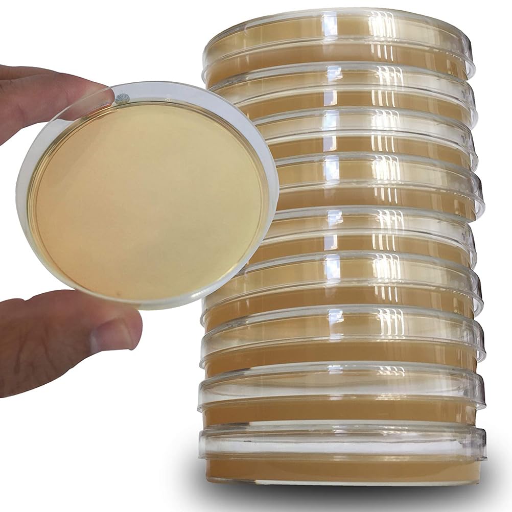 UKCOCO 10 Stück Agar Petrischplatten, Platten aus Kunststoff, Petroleumplatten, Agar R2a Petroleumplatten, Verwendung und Agar Medien Biologische Bestimmungsgeräte