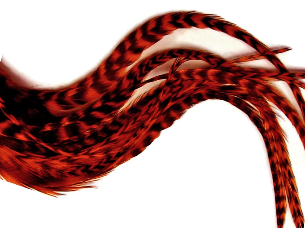 6 Pieces - XL Orange Thick Long Grizzly Whiting Farm Rooster Saddle Hair Extension Feathers Fly Tying Craft Summer Craft | Moonlight Feather