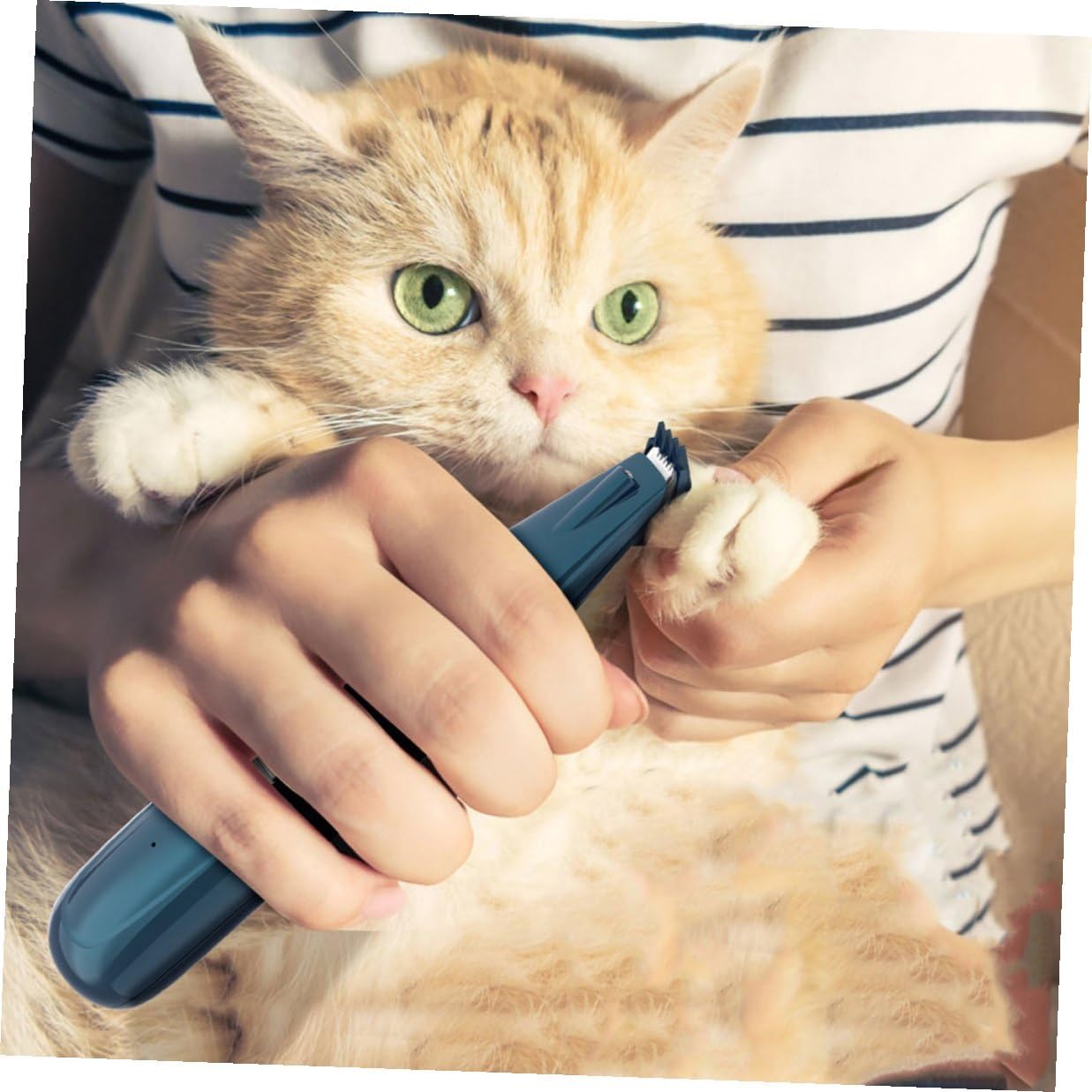 Electric Pet Paw Trimmer with Safe Narrow Head Cat Dog Clipper Grooming Tool Removable for Uniform Shaving Quiet Rechargeable Clipper for Areas and Delicate Paw Care