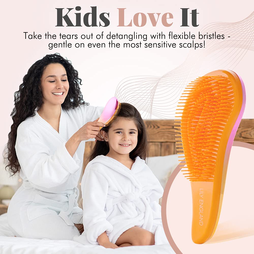 Detangler Brush and Comb Set Detangling Hairbrush for Women and Kids