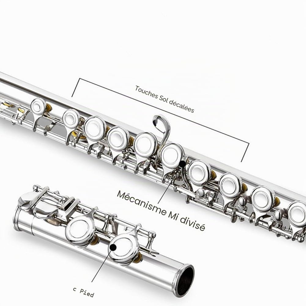 Flûte traversière professionnelle avec 16 trous ouverts - Tonalité C - Instrument de musique de concert - Avec boîte de chiffon de nettoyage -