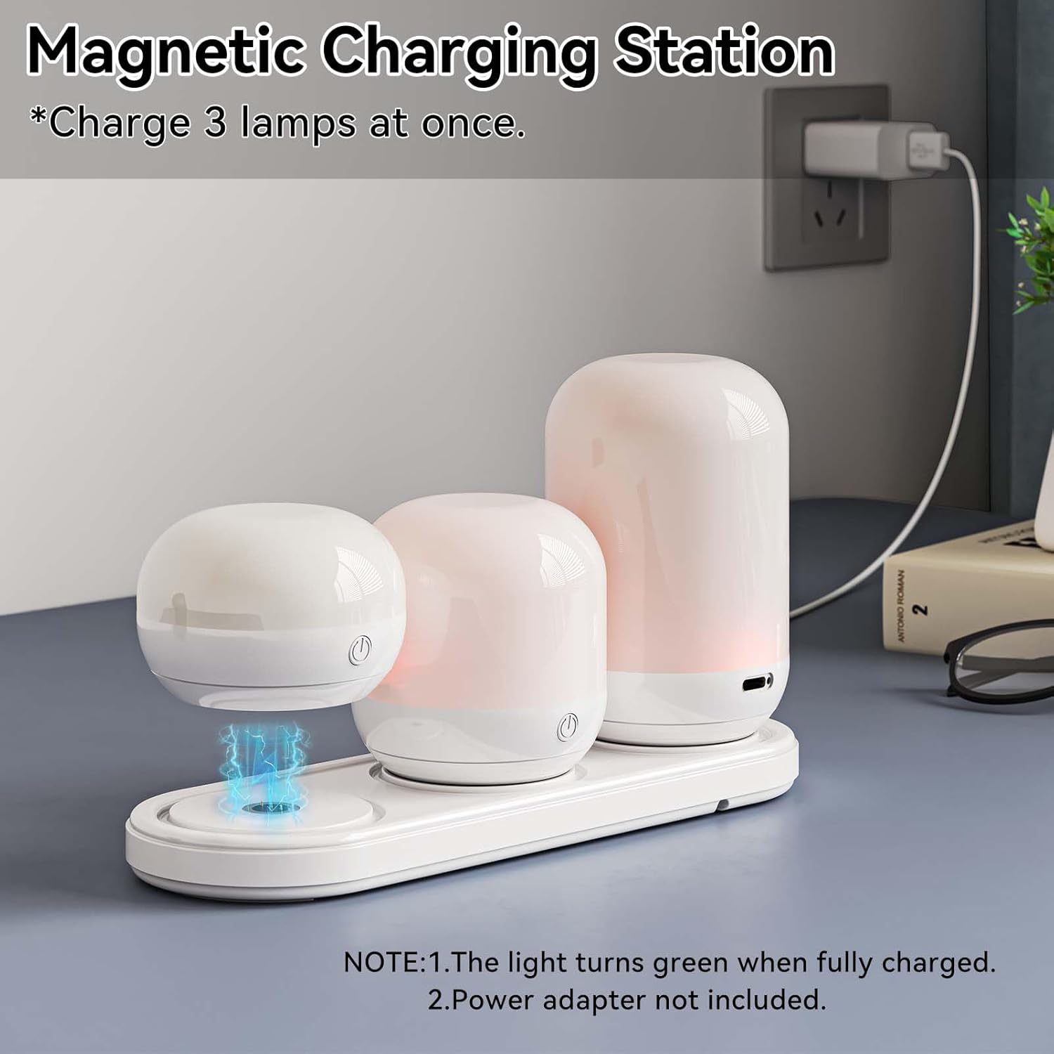 Illuminate Your Nights: SUNMORY