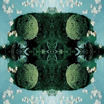 prism | 大和田 良 |本 | 通販 | Amazon