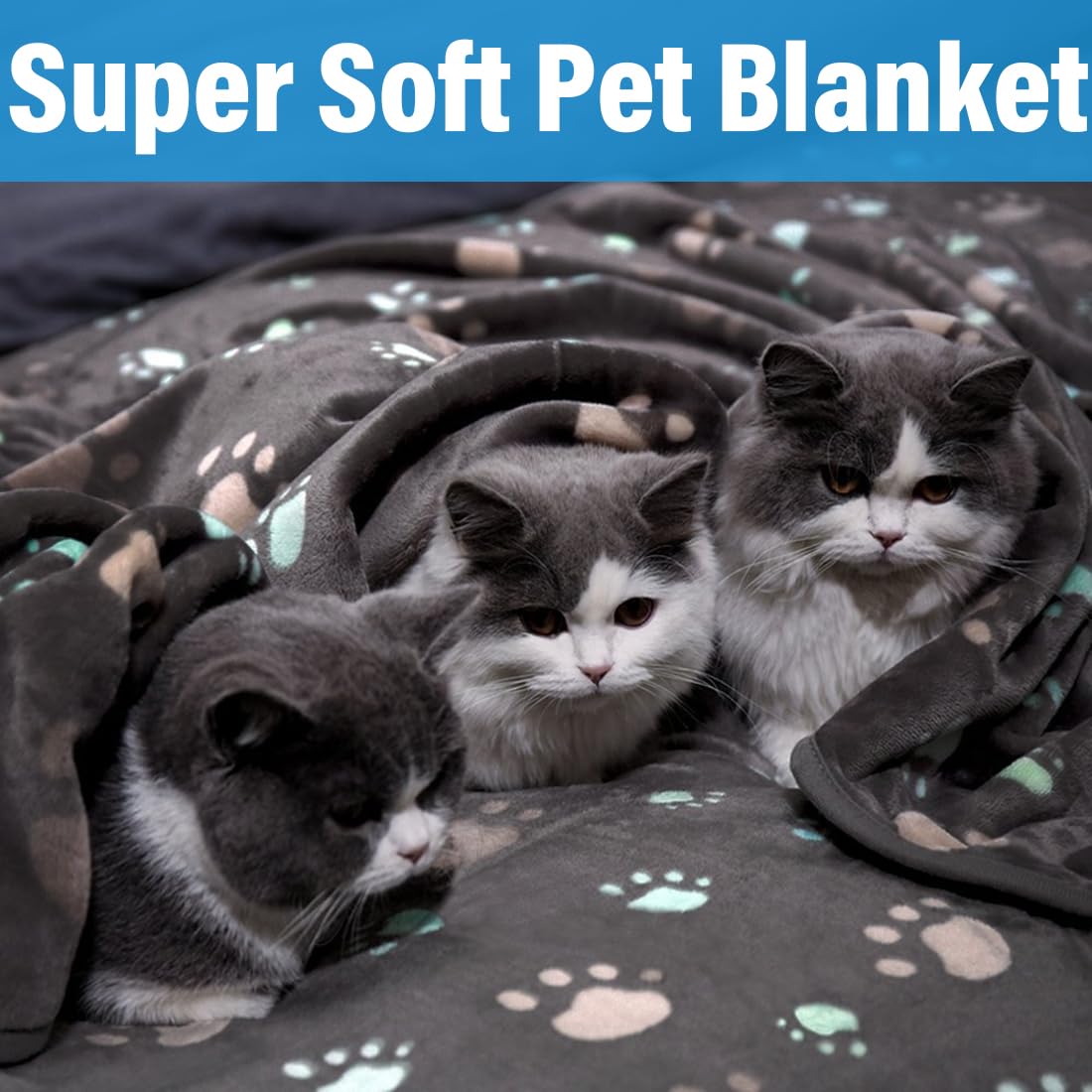 Couvertures pour chiens, Paquet de 2 couvertures pour animaux de compagnie couverture pour chiot couverture pour chat avec impression de patte (60 * 40cm)