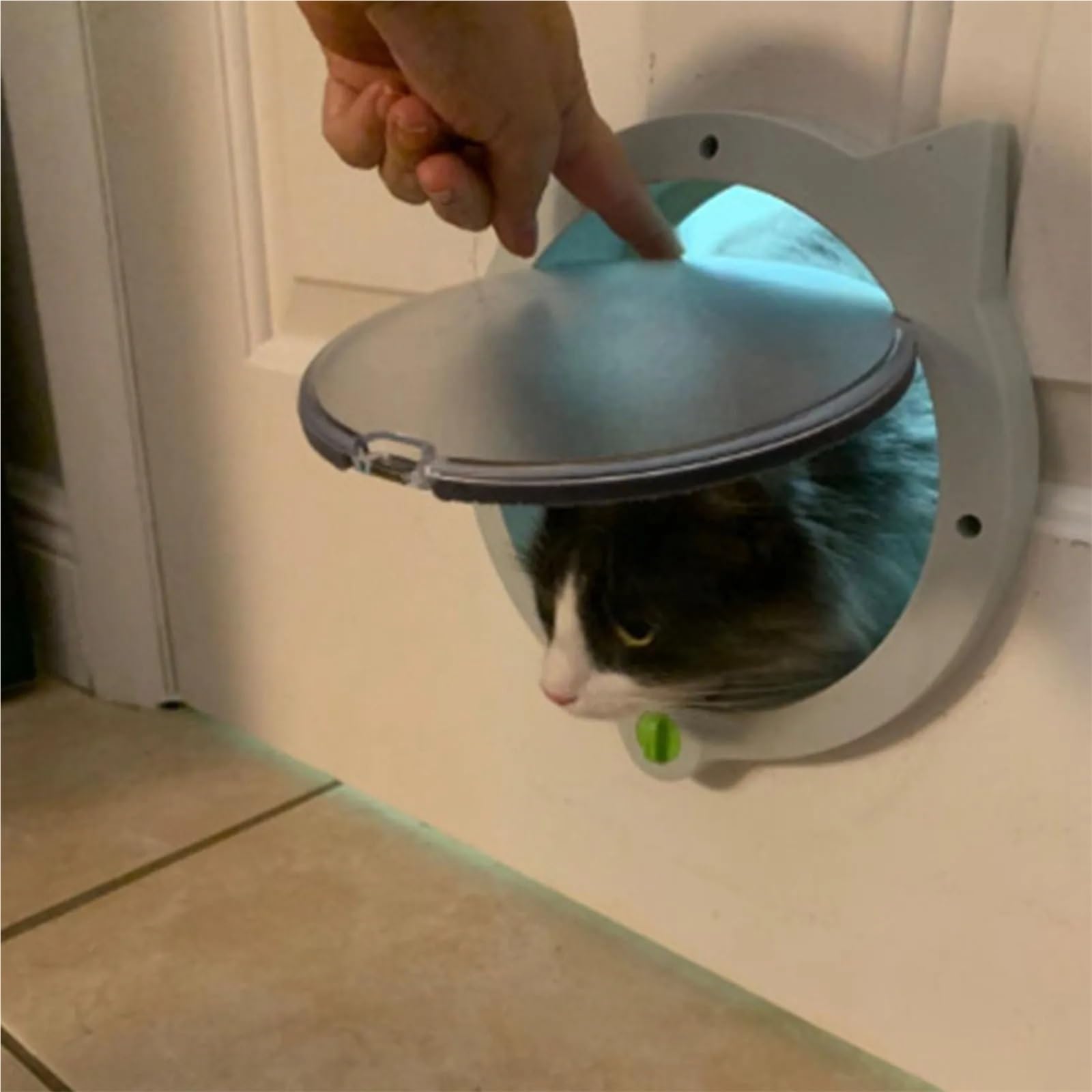 Chatiere pour Chat Porte Chats Mignons Magnétique 4 Modes de Verrouillage en Plastique Automatique for Portes Extérieures Intérieures pour Porte(Black)