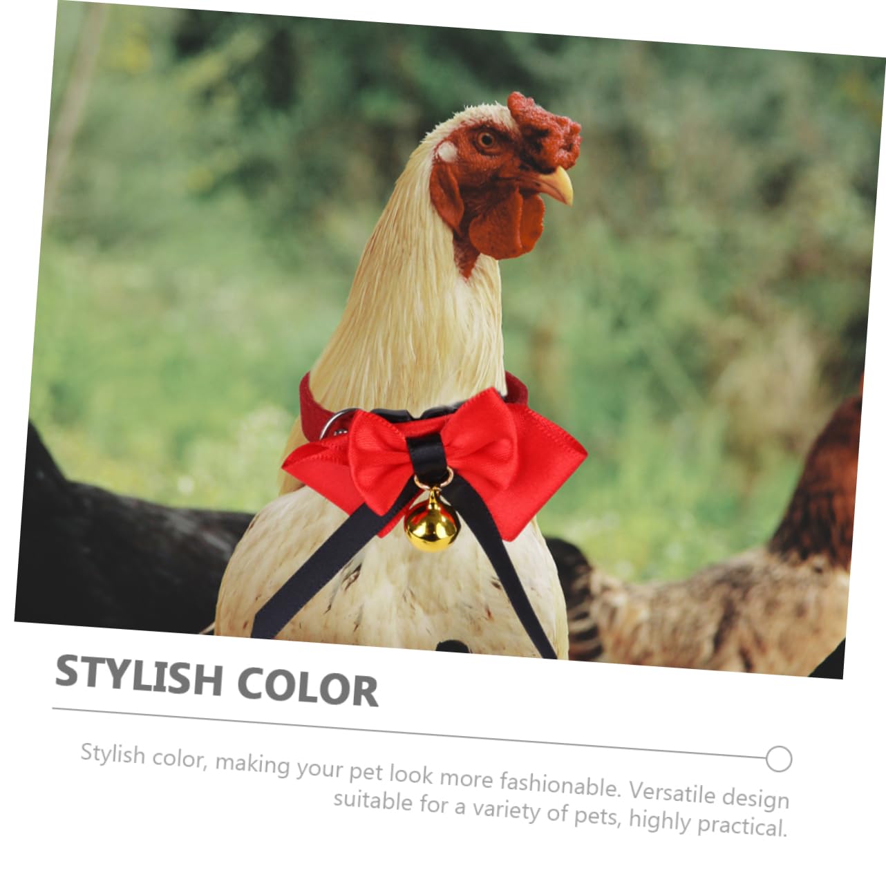 Sosoport Fashionable Bowknot Pet Collar Handmade Collar Ornament for Daily Wear Special Occasions