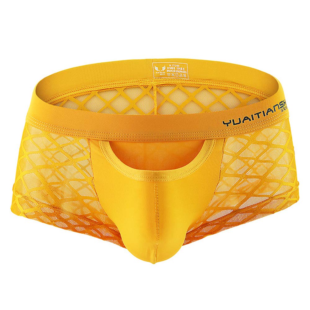 sandbankMen's See Through Underpants Sexy Lingerie Mesh Transparent Boxer Briefs Underwear Panties