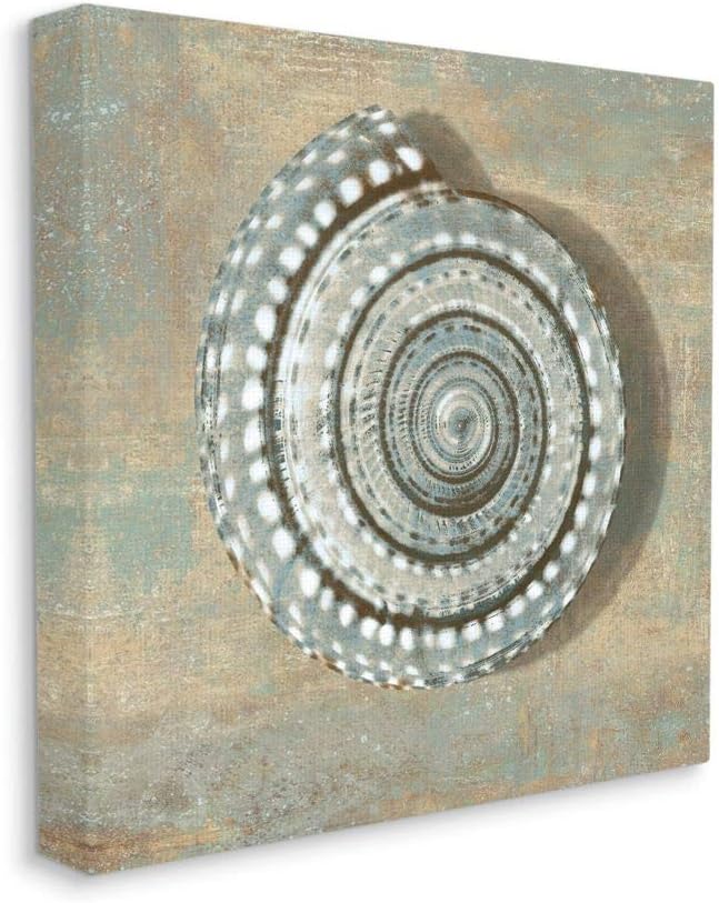 Stupell Industries Spiral Shell Beach Objects Design, Designed by Christy McKee Wall Art, 36 x 36, Canvas