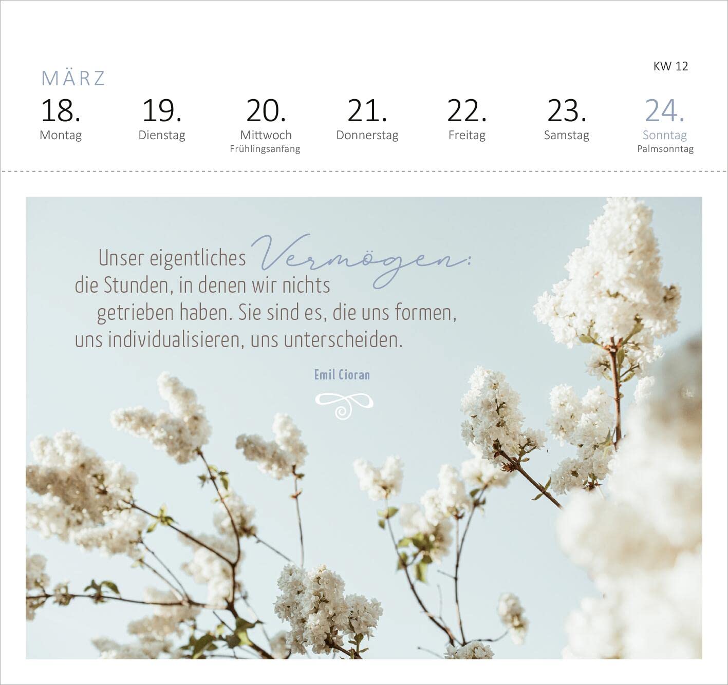 Postkartenkalender 365 Tage Gelassenheit 2024