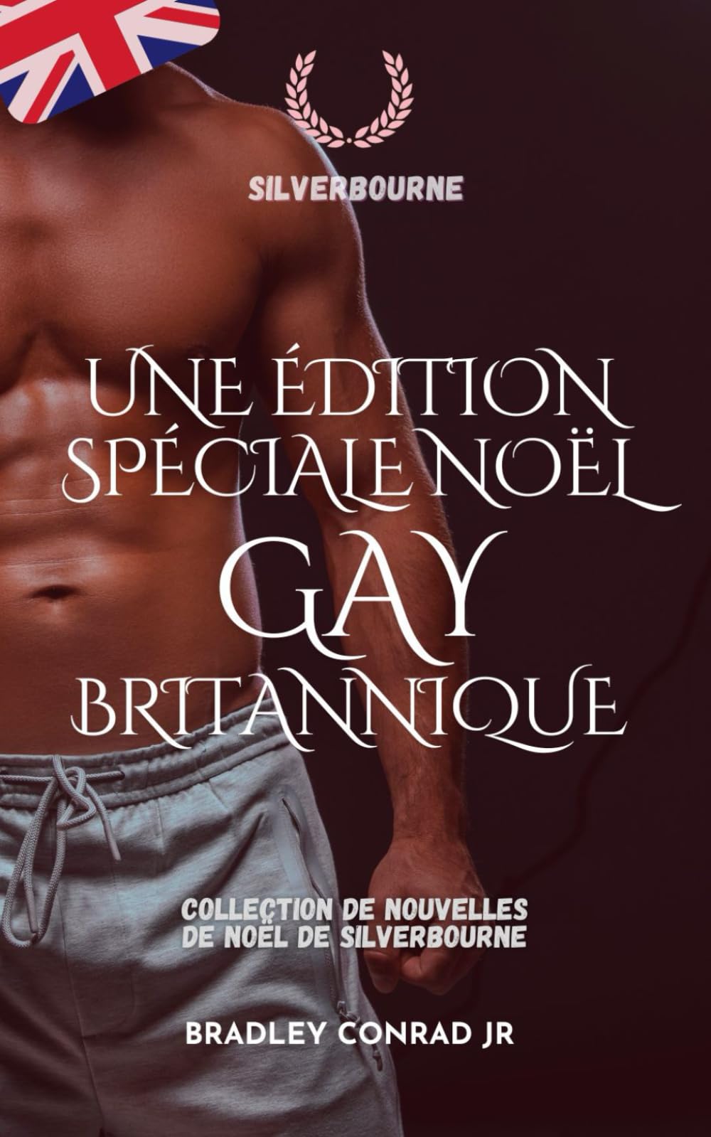 Silverbourne : Une édition spéciale Noël gay britannique: Collection de nouvelles de Noël de Silverbourne (Silverbourne : Romance gay britannique)