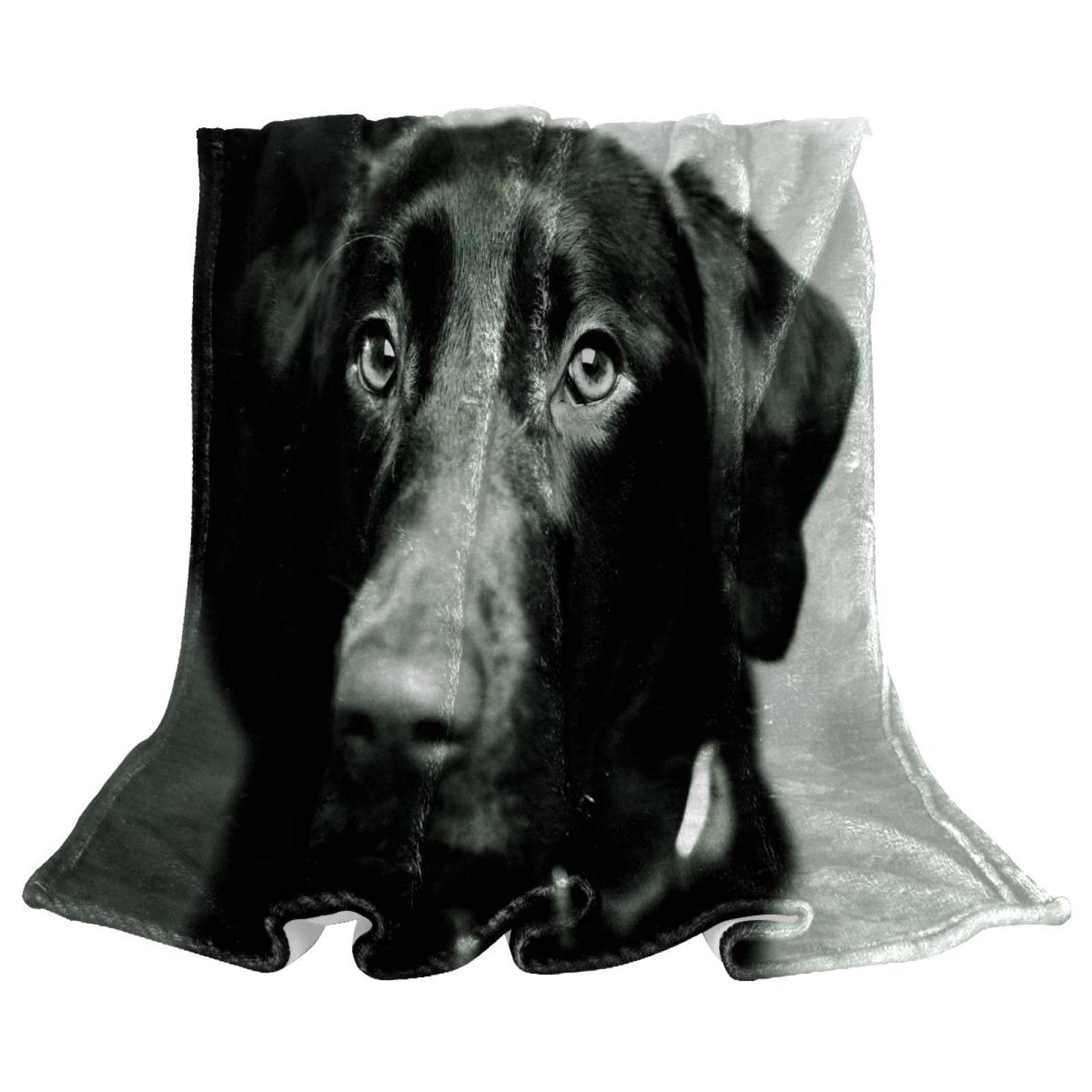Couverture de sieste douce motif chien Labcanine noir pour vos soirées