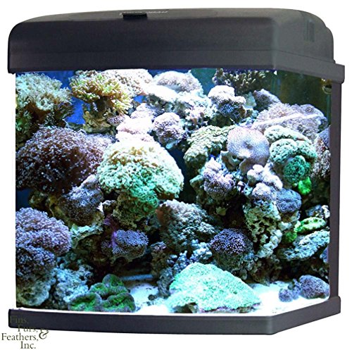 JBJ MT-602-LED Nano Cube CF Quad Lighting, 28-Gallon