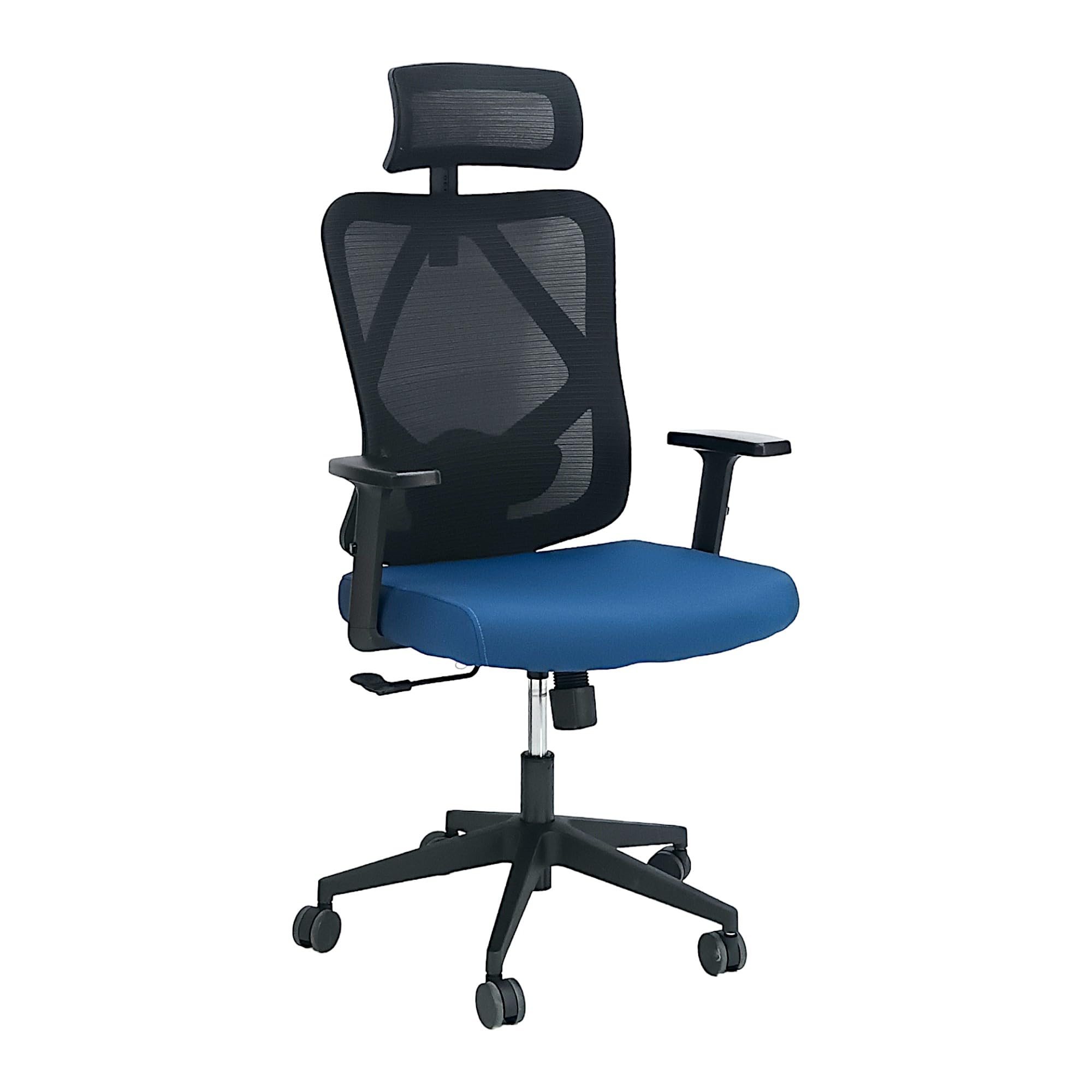 Sabir & Bros. Furniture LLC SBF Ergonomic Mesh Office Chair - Adjustable Headrest and Armrests, Tilt Backrest, Lumbar Support, Fabric Seat, Swivel Manager Chair (Blue Black)