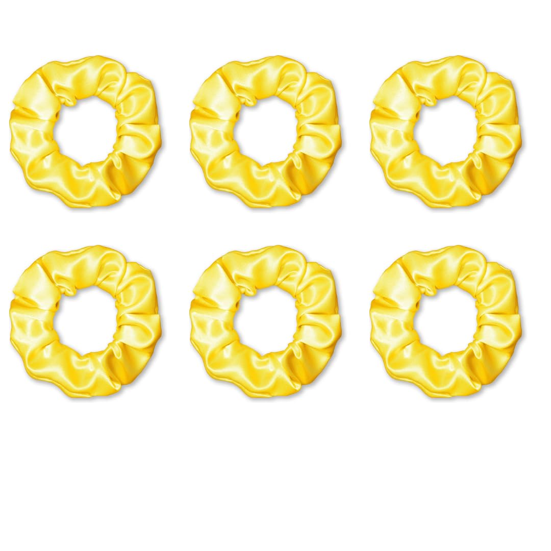 Young Arrow Satin Silk Hair Scrunchies, Anti-Hair Breakage Hair Ties, Hair Bands, Rubber Bands Ponytail Holders, Hair Accessories for Girls & Women, Best Gift (Pack of 6) (Yellow) (B0CQVSHLL5) Amazon Price History, Amazon Price Tracker