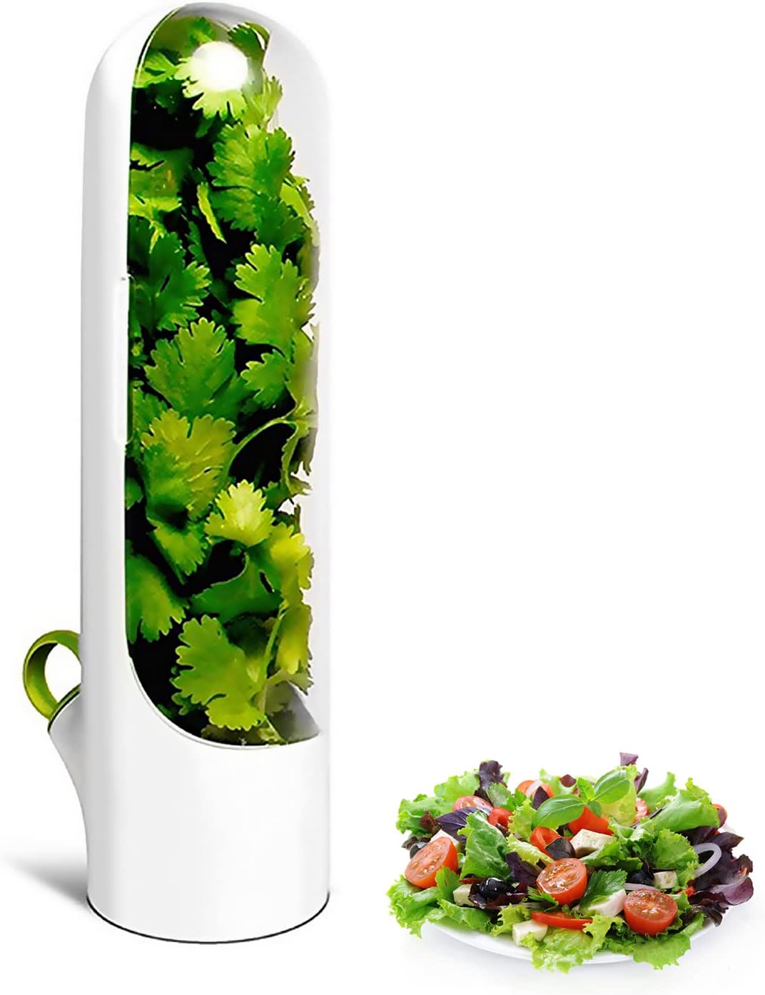 Fresh Herb Keeper for Refrigerator,Premium Herb Saver,Herb Storage