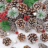 YUJUN 150PCS Christmas Pine Cones Berry Branch Bulk Artificial Winter Natural Snow PineCones Holiday Christmas Tree Ornaments for Xmas DIY Crafts Home Decorations Tree Tag Gift Party Supplies