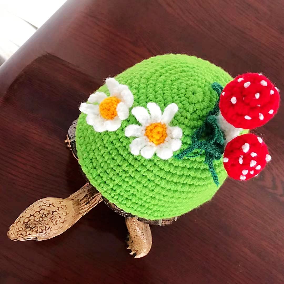 FORZENA Sweater for Turtle - Small Animal Sweater Warm Winter