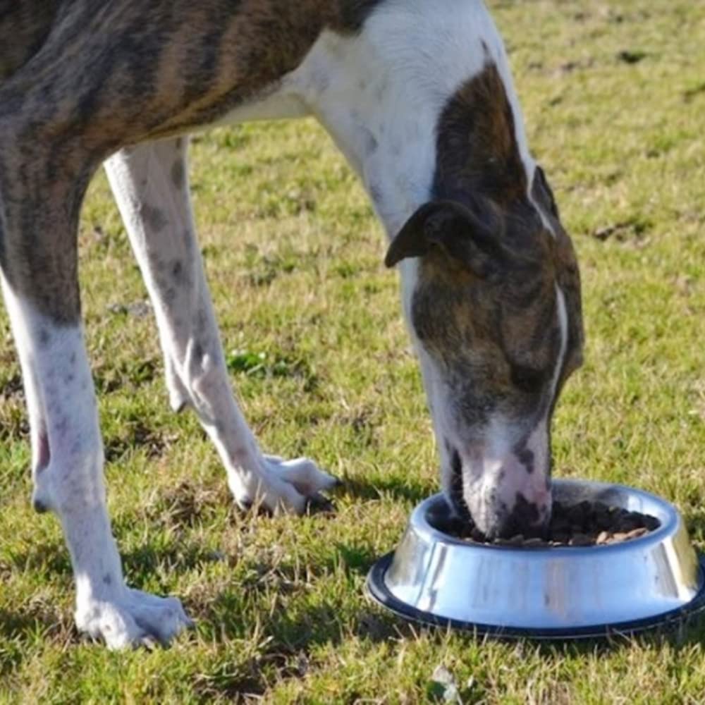 EL HAYEDO Pienso para Perros con Buey, Pollo y Arroz Alta Energía con Vitaminas - 20 Kg