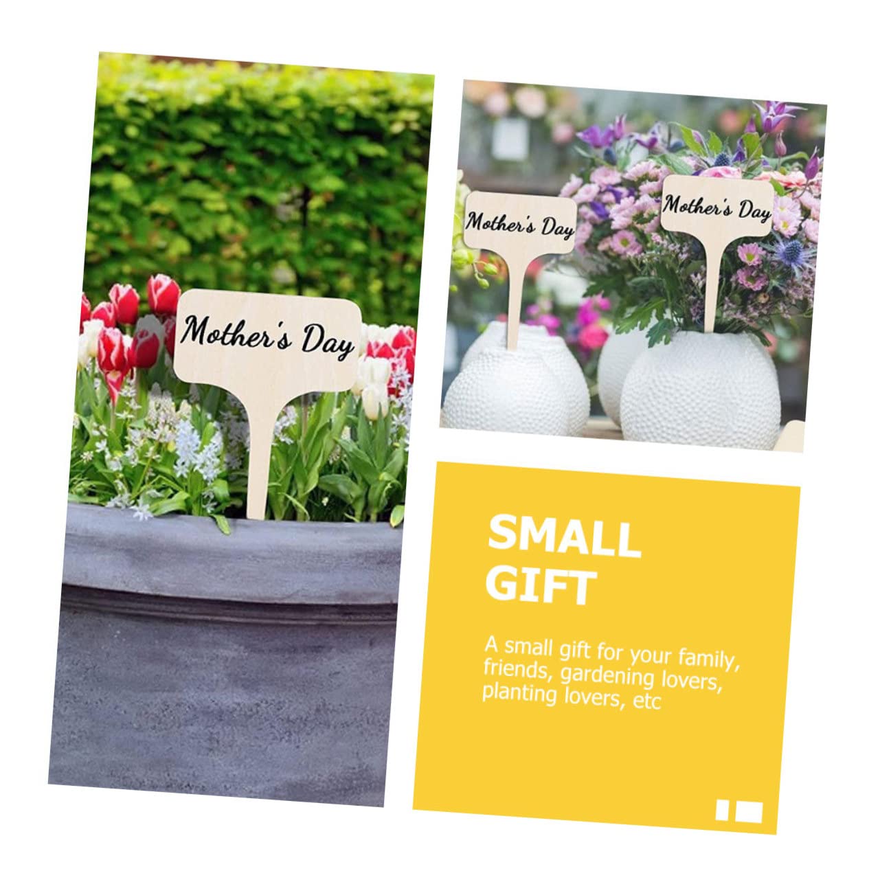 BESTonZON 5 Sätze Pflanzenschilder Gartenmarkierungen Zur Pflanzenklassifikation Leichte Und Garten Dekorationen Mit Spitzem Design Für Einfache Verwendung Im Freien 20 Stück * 5