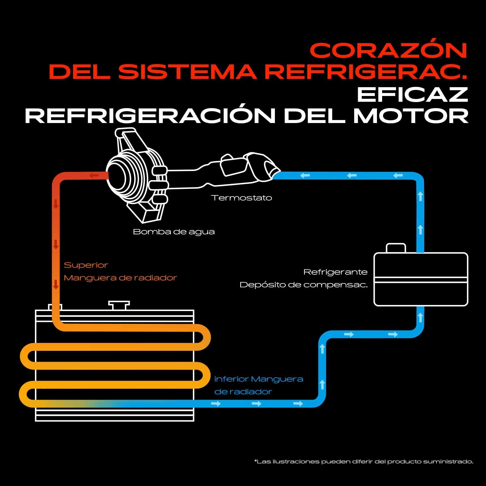 Frankberg Manguera de refrigerante manguera del motor delantera | Compatible con: M.i.n.i R.o.a.d.s.t.e.r R59, M.i.n.i Clubman R55, M.i.n.i R56, M.i.n.i Paceman R61