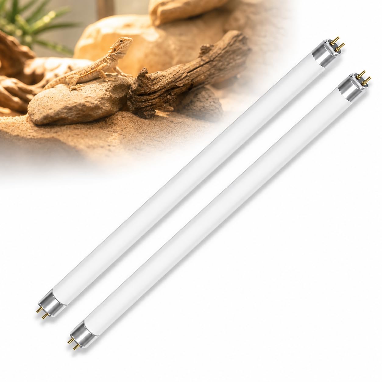 Velumis 2 Pack T5 8W UVB Light for Reptiles, 10.0 UVA UVB Fluorescent Tube 300mm, Reptile UVB Bulb for Terrarium Vivarium Lighting, Bearded Dragon, Turtle, Tortoise, Lizard Habitat Replacement Tubes